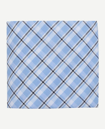 Zakdoeken (5-pack) ruit blauw