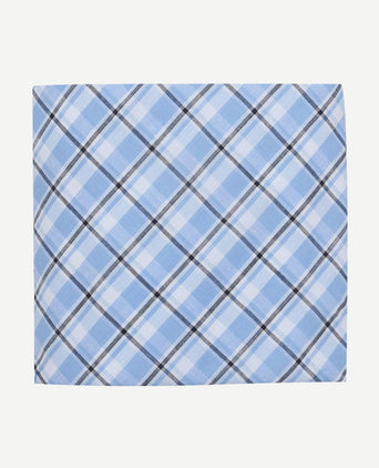Zakdoeken (5-pack) ruit blauw