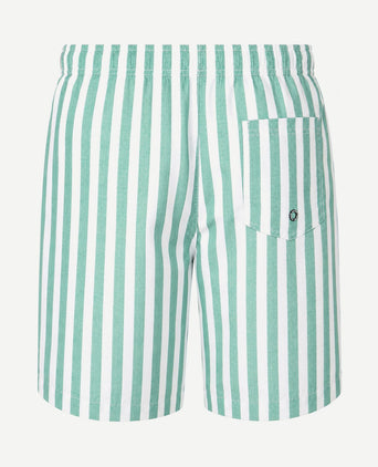 Zwembroek big stripe groen
