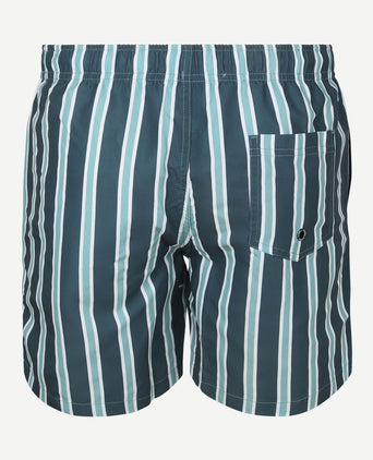 Suitable zwembroek stripe groen | Regular-fit
