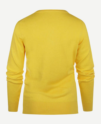 Trui cashmere dames v-hals geel