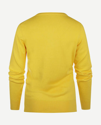 Trui cashmere dames v-hals geel