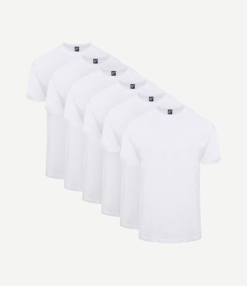 T-shirt Virginia (6-pack)