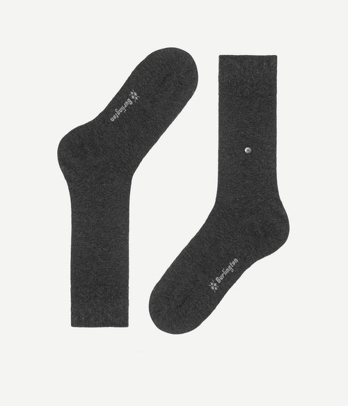 Aanbieding grijs (6-pack)