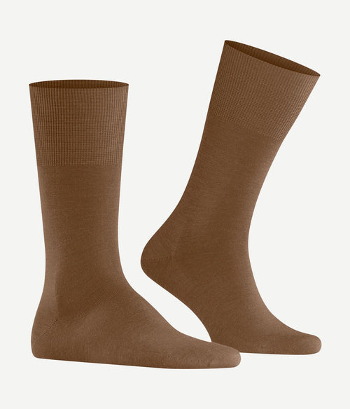 Falke airport sok camel