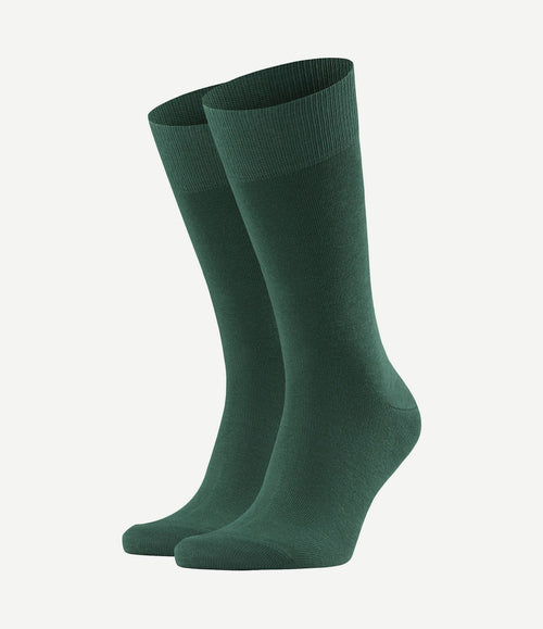 Happy sokken (2-pack) donkergroen