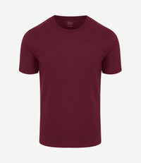 The shawn t-shirt burgundy