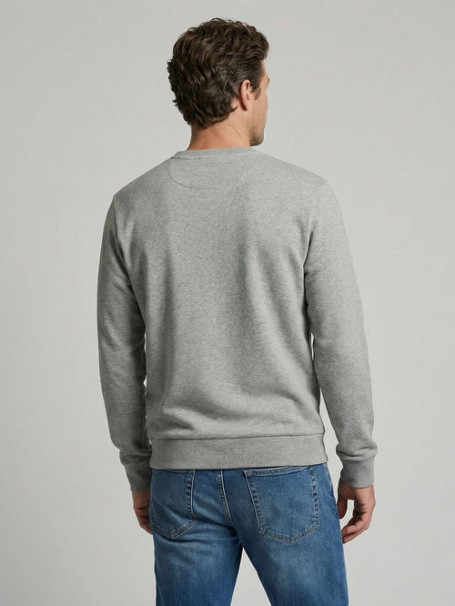 Sweatshirt graphic grijs