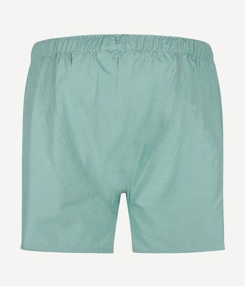 Steppin' Out boxershort ruit groen