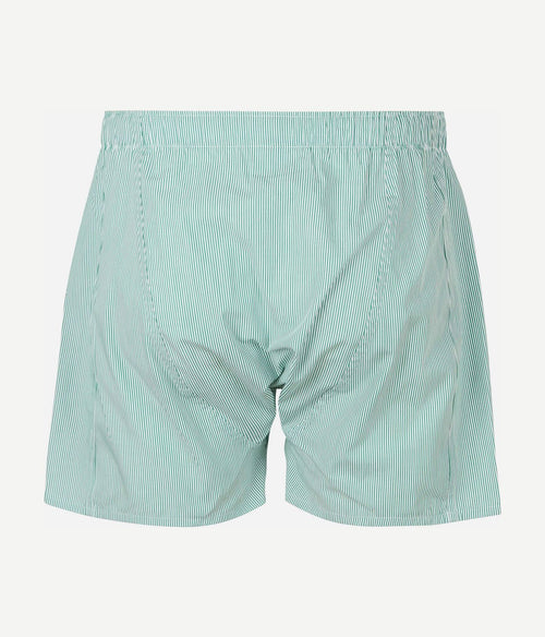 Steppin' Out boxershort streep groen