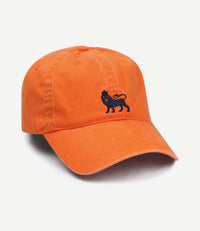 Pet oranje