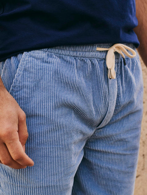 Detroit cord short blauw