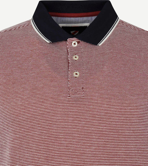 Suitable Oxford polo rood