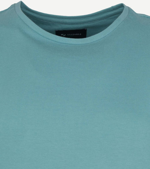 Suitable respect t-shirt Jim mint